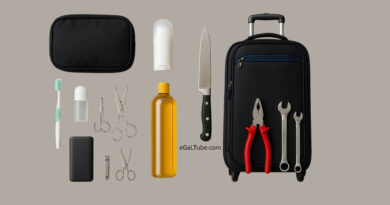 বিমান ভ্রমণের সময় কোন জিনিস হাতে নেওয়া যায়, কোনটা চেক-ইন লাগেজে রাখতে হয়? বিমান ভ্রমণের সময় কোন জিনিস হাতে নেওয়া যায়, কোনটা চেক-ইন লাগেজে রাখতে হয়